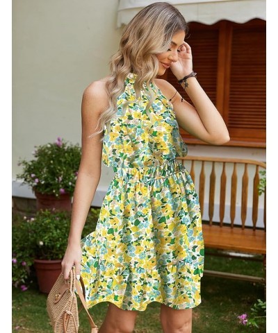 Summer Dress for Women Casual Floral Sun Dress Sleeveless Halter Neck Dress Swing Pleated Party Beach Dresses Chartreuse $18....