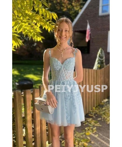 Tulle Homecoming Dresses for Teens 2023 Spaghetti Strap Lace Applique Short Prom Dress Mini Cocktail Gown Blush Pink $30.74 D...