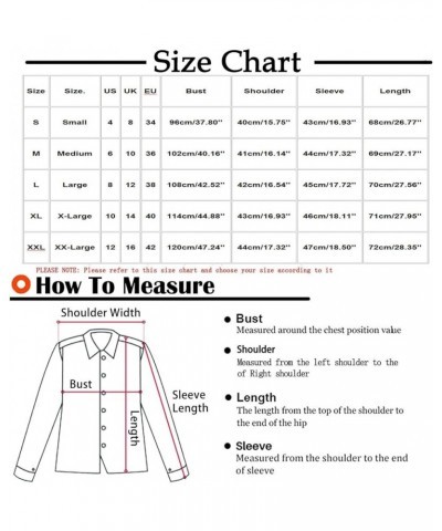 Christmas Print Womens Tops Fall Winter Casual Dressy V Neck Pleated T Shirts Trendy Long Lantern Sleeve Button Down Blouse E...