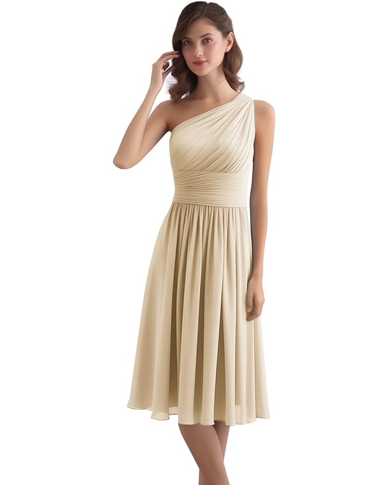 Women's One Shoulder Bridesmaid Dresses Short Chiffon Pleated Formal Evening Gown Champagne $32.20 Dresses