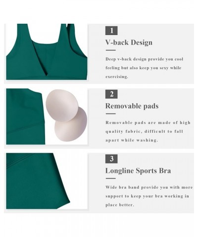 High Neck Sports Bras for Women V Back Longline Full Coverage Sports Bra Padded Open Back Workout Tops Yoga Crop Tank A3-lagu...