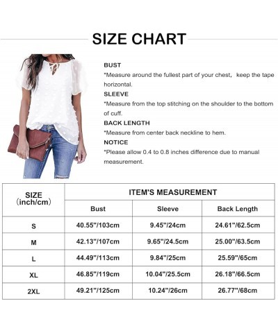 Womens Summer V Neck Tops Short Sleeve Chiffon Blouse Swiss Dot Shirts Casual Tunic White $8.09 Blouses