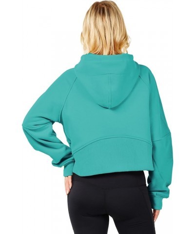 Workout Hoodies for Women Half Zip Fleece Lined Pullover Merry and Bright Sweatshirt Turquoise $10.12 Hoodies & Sweatshirts