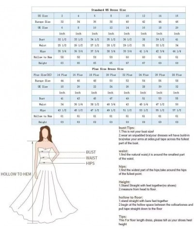 Lace Tulle Prom Dresses Long Ball Gown for Women 2024 V Neck Appliques Aline Sleeveless Formal Gowns and Evening Dresses Plum...